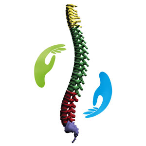 Chiropractic treatment in guntur