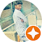darga khadar